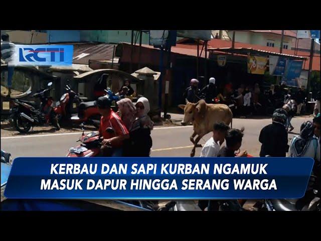 [FULL] Seputar iNews Pagi, Selasa, 18 Juni 2024