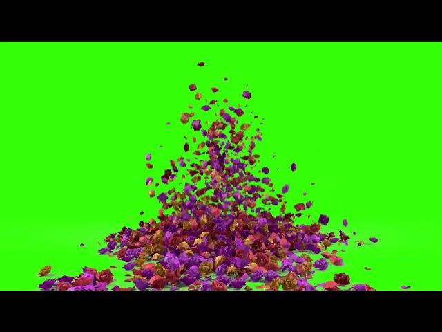 Free Green screen Rose Petals Flying Chromakey | Copyright Free | Free to Use for Any Project