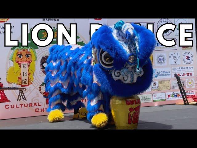 Lion Dance in San Francisco Chinatown Cultural Festival 2024