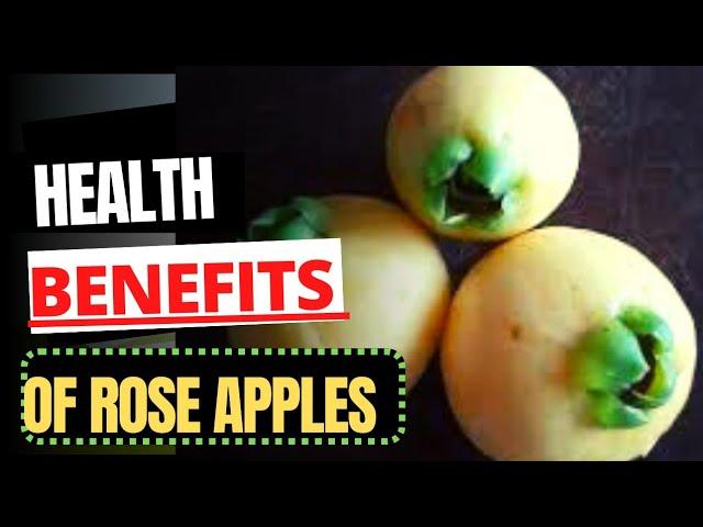 HEALTH BENEFITS of the Jamaican ROSE APPLE (Syzygium Jambos)