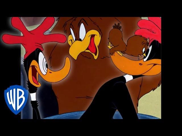 Looney Tunes | Winner Winner Chicken Dinner | Classic Cartoon | WB Kids