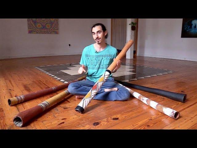 Comparing 5 Eucalyptus Didgeridoos (all traditional Aboriginal Australian instruments)