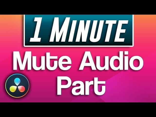 Davinci Resolve : How to Mute Part of Audio