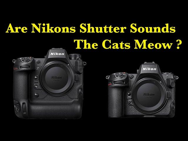 What does your Nikon shutter sound like and what's the link to its value?