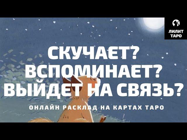 4 КОРОЛЯ: СКУЧАЕТ? ВСПОМИНАЕТ? ВЫЙДЕТ НА СВЯЗЬ? онлайн расклад на картах Таро |Лилит Таро|