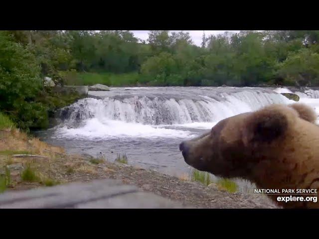 The 910s and 909 Junior Make a Very Quick Stop at the Falls - June 27, 2024 (explore.org)