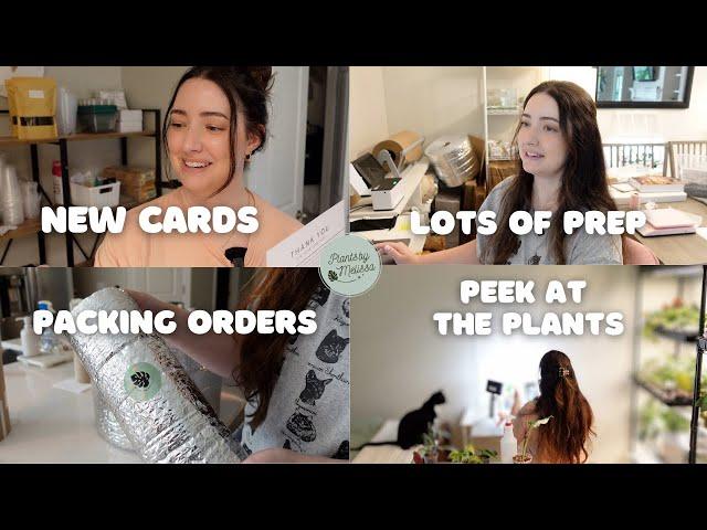 Plant Shop Vlog | Lots of Prep, Chats & a Peek at This Friday's Restock!