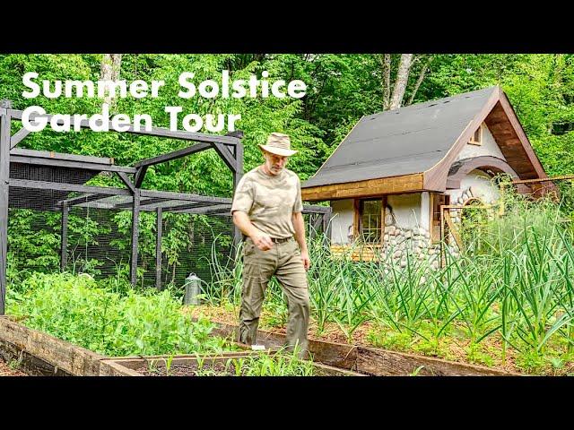 Pruning Fruit Trees in my Organic Orchard on the Summer Solstice | Food Forest Tour