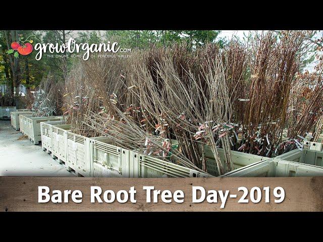 Bare Root Tree Day 2019