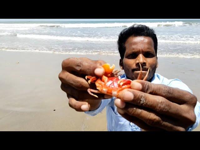 Food challenger first beach tour & Beach vlog in Tamil aaron vlogs indian beach