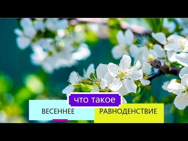  ЧТО ТАКОЕ ВЕСЕННЕЕ РАВНОДЕНСТВИЕ 