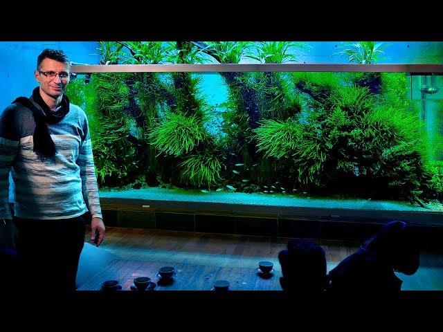 The World's Most Famous Planted Tank: Takashi Amano's Home Aquarium In Japan (vlog Part 2)