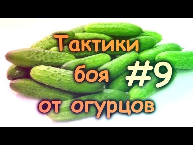 Тактики боя от Огурцов #9