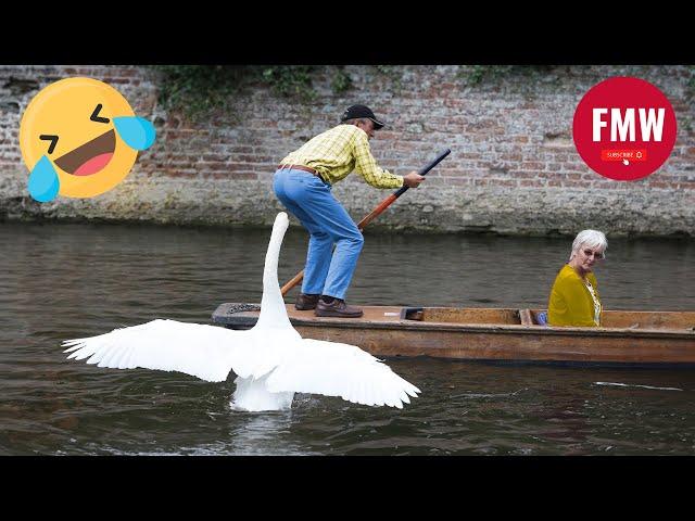 Funny & Hilarious People's Life  #55 - Try not to Laugh | Funny Fails compilation 2024