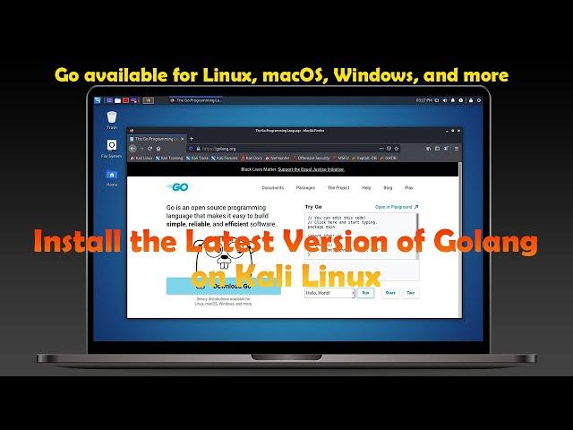 How to Install the Latest Version of GoLang on Kali Linux [Manually]