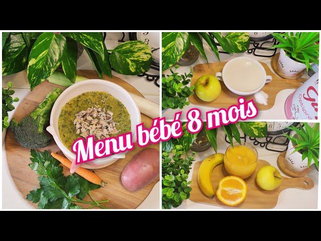 menu d'une journée pour bébé 8 mois riz au lait / légumes avec sardine / goûter fruits