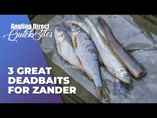 3 Great Deadbaits For Zander - Predator Fishing Quickbite