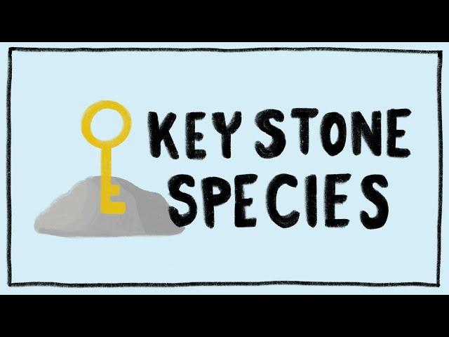 Keystone Species