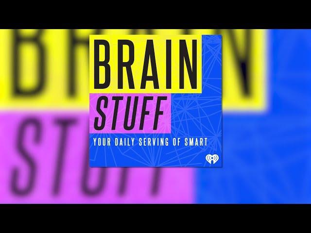 Do You Or Your Dishwasher Get Dishes Cleaner? - BrainStuff 11/29/2019