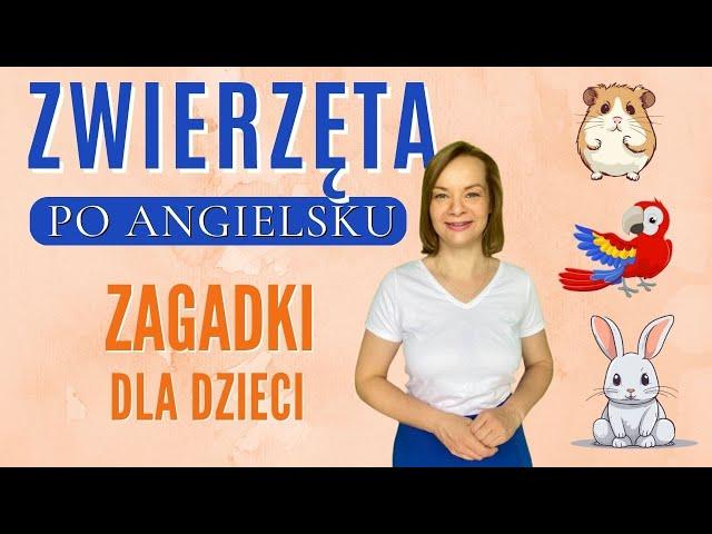 Angielskie zagadki - ZWIERZĘTA | angielski dla dzieci