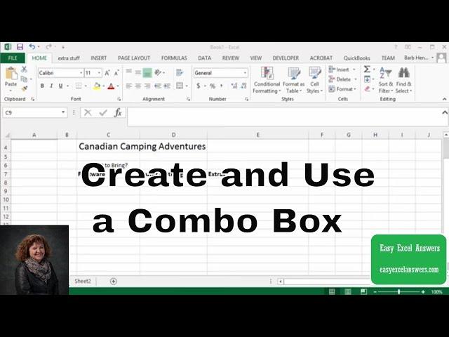 Create and Use a Combo Box in Excel