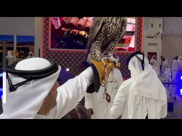 Katara International Hunting and Falcons Exhibition #qatarliving #falcons #qatari #Katara #Shail