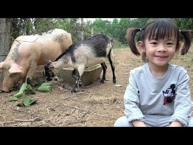 Bé Chơi Với Các Con Vật – Con Lợn Và Con Dê  AnAn ToysReview TV 