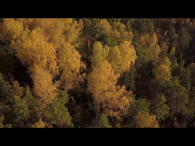 DJI MAVIC PRO Россия Сибирь Кемеровская область(Russia,Siberia,Kemerovo region)