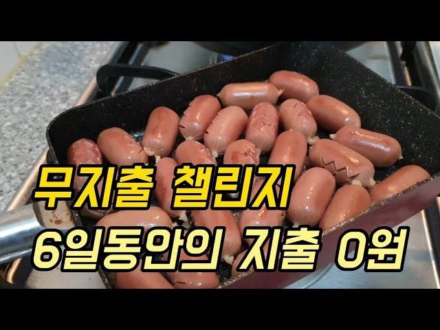 [절약하는 백수] 백수 절약 일상/식비 아낄 땐 역시 집밥이지/무지출/무지출챌린지/집밥/짠테크/냉파/냉장고파먹기/절약/식비절약