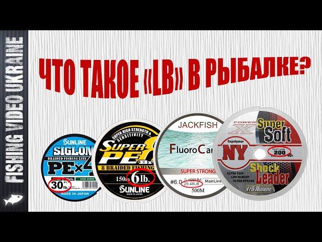  What does "LB" mean on fishing gear? How many do you need? | FishingVideoUkraine