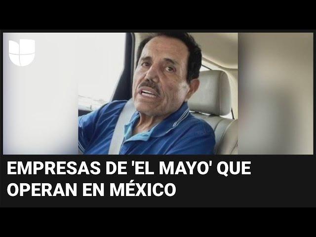 Las empresas de ‘El Mayo’ Zambada y su familia que operan en México sin restricciones