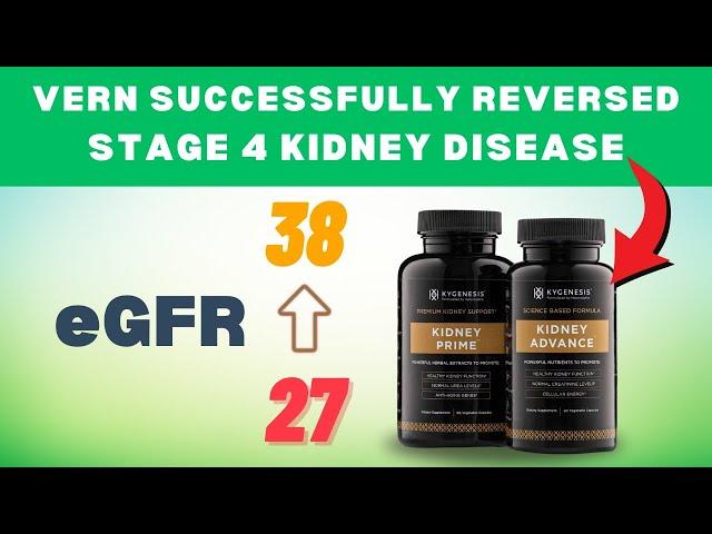 eGFR: From 27 To 38 | How Vern Reversed His Stage 4 Kidney Disease? | Testimonial