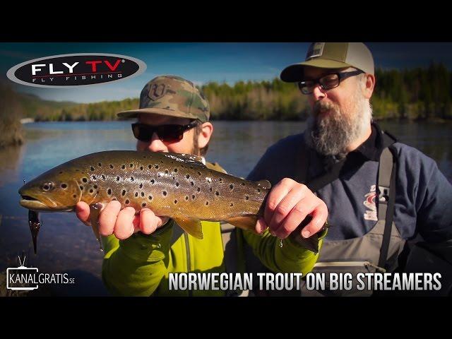 FLY TV - Norwegian Trout on Big Streamers in Rena River