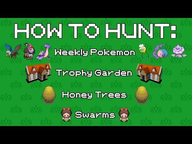 How to Shiny Hunt Time-Based Pokemon