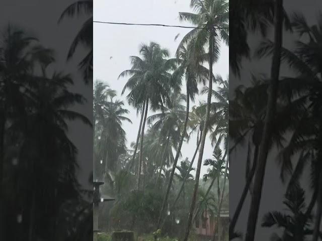 Raining... #rain#kerala#zarazarabehektahein#