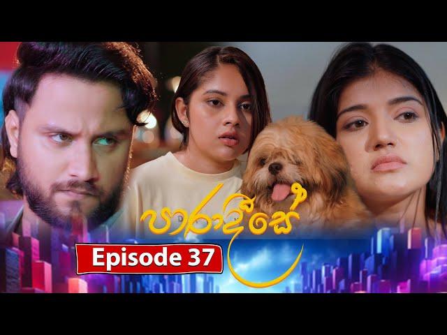 Paradeese | Episode 37 - (2024-09-17) | ITN