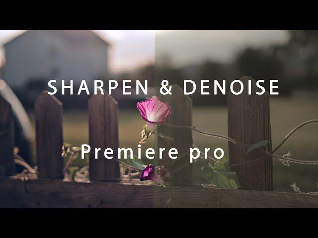 Sharpen,  DeNoise & Color Grade your video // Premiere Pro // Canon 200d (rebel sl2)