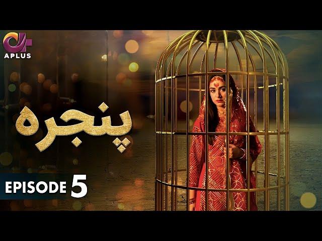 Pakistani Drama | Pinjra - Episode 5 | Aplus Gold | Yumna Zaidi, Nauman Aijaz | CZ1O