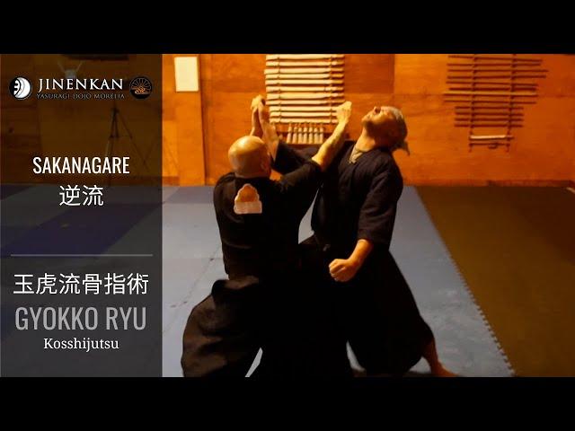 Jinenkan - Sakanagare / Gyokko Ryu (Artes Marciales Tradicionales Japonesas)