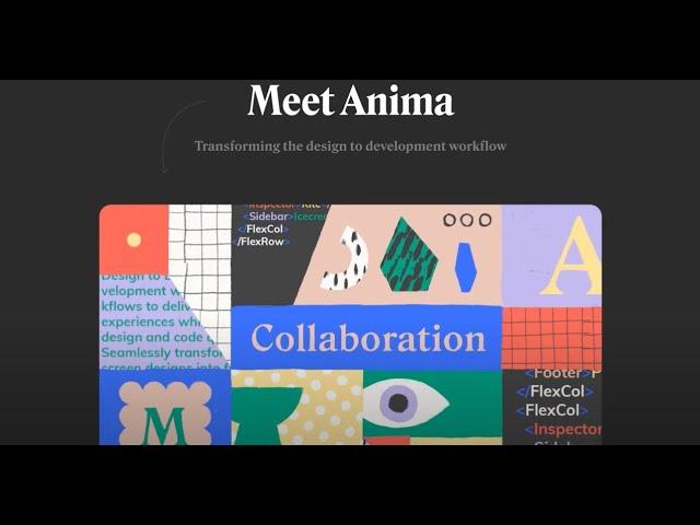 Getting Started with Anima - Set up Your Account