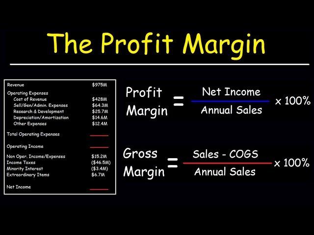 Profit Margin, Gross Margin, and Operating Margin - With Income Statements