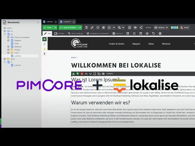 Pimcore Lokalise Demo