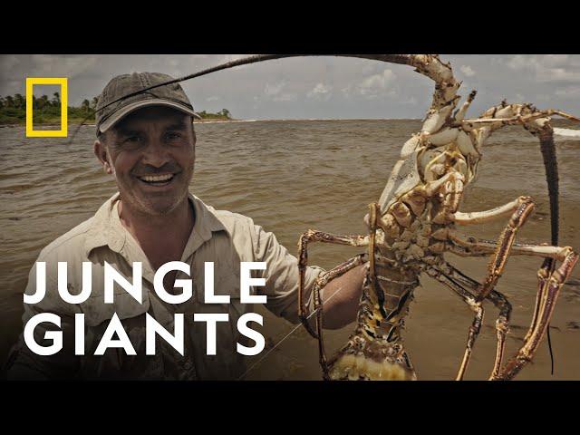 The Daunting Challenge | Last of the Giants: Wild Fish | National Geographic UK