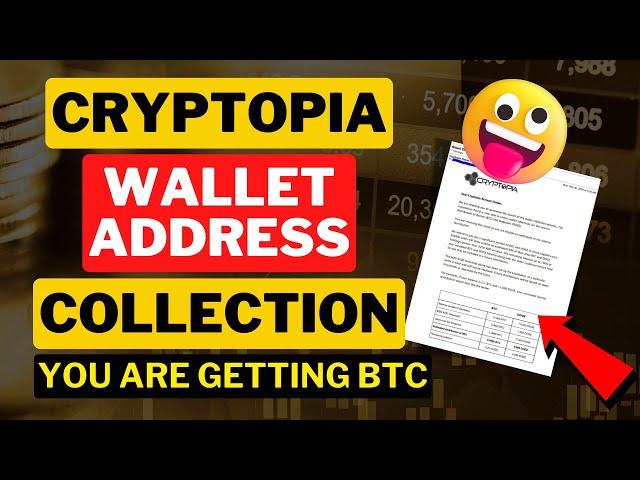 Cryptopia Started Wallet Address Collection | Cryptopia Latest Update