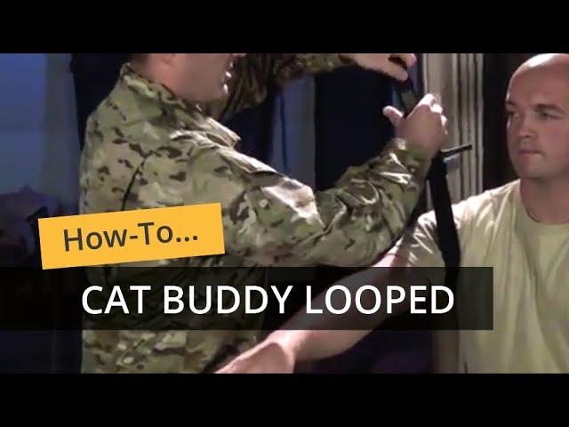 CAT Buddy Application (Looped)