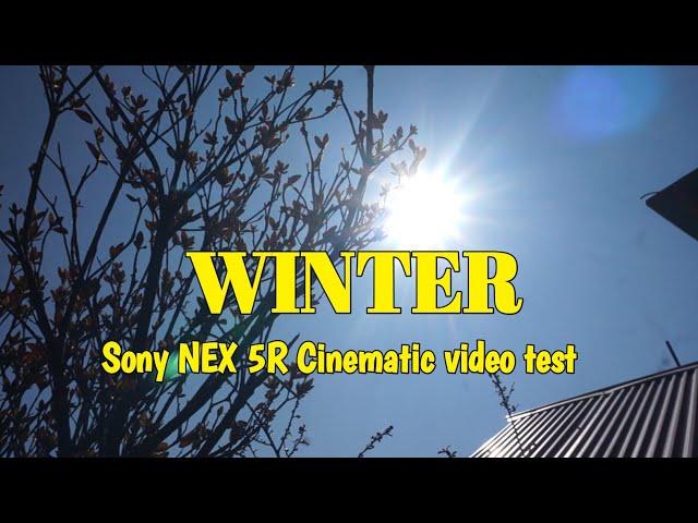 Winter Vlog: Cinematic Sony NEX-5R