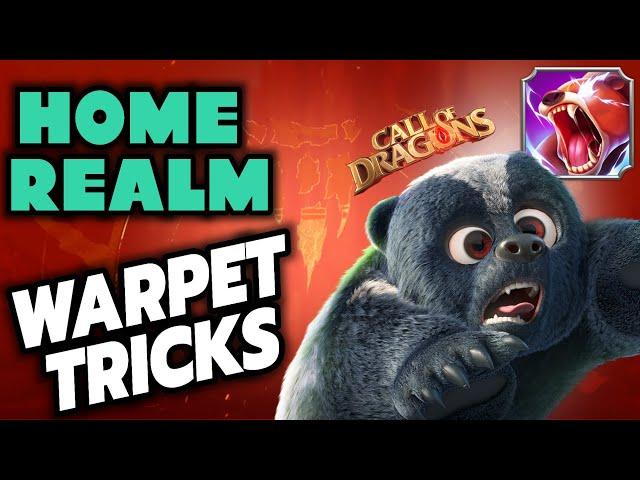 call of dragons - Top 3 home Realm war pets tips & tricks | get good value