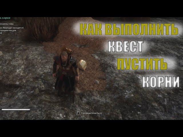 КАК выполнить квест ПУСТИТЬ КОРНИ в АСГАРДЕ | Assassin's Creed Valhalla