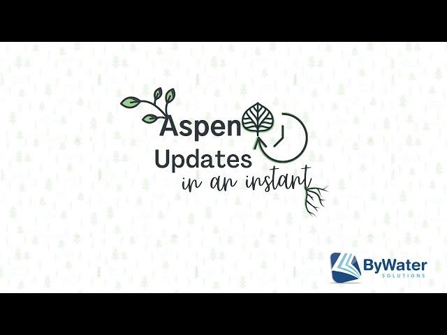 Aspen Updates in an Instant - 24.08 Release