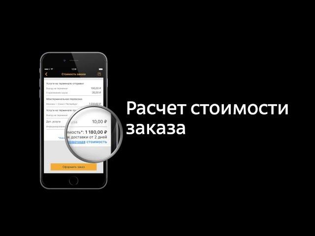 Мобильное приложение "Деловые Линии" для iOS